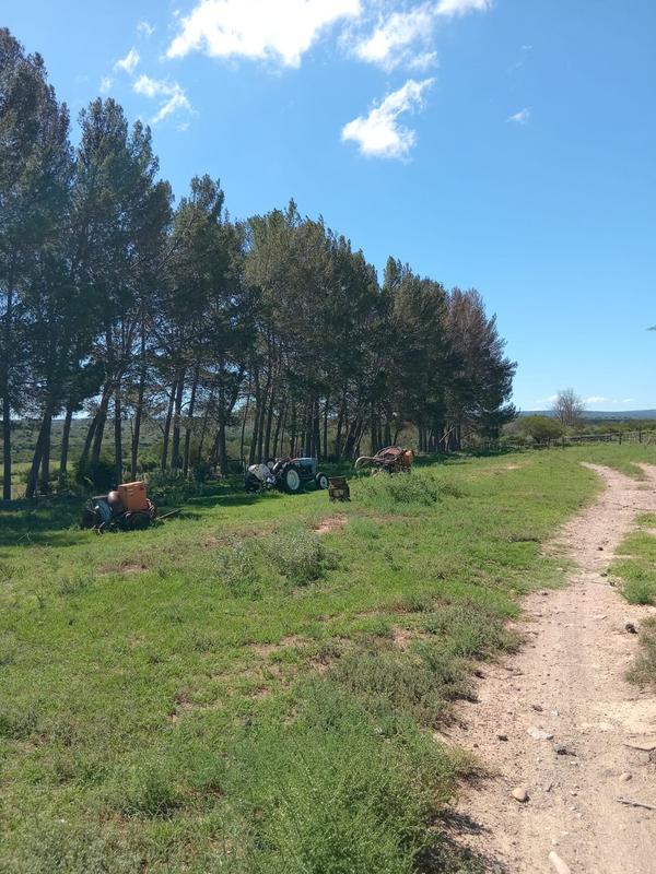 4 Bedroom Property for Sale in Grahamstown Eastern Cape